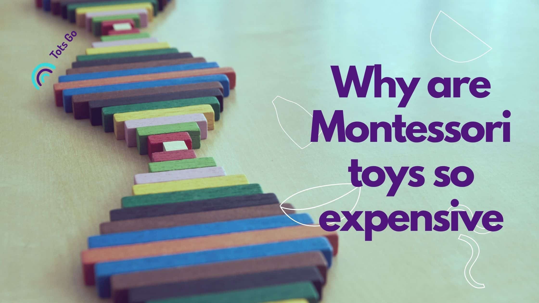 Why are Montessori toys so expensive_ (1)